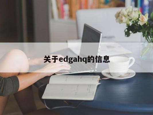 关于edgahq的信息