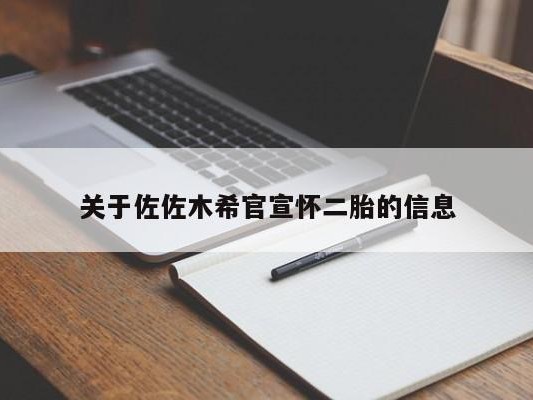 关于佐佐木希官宣怀二胎的信息